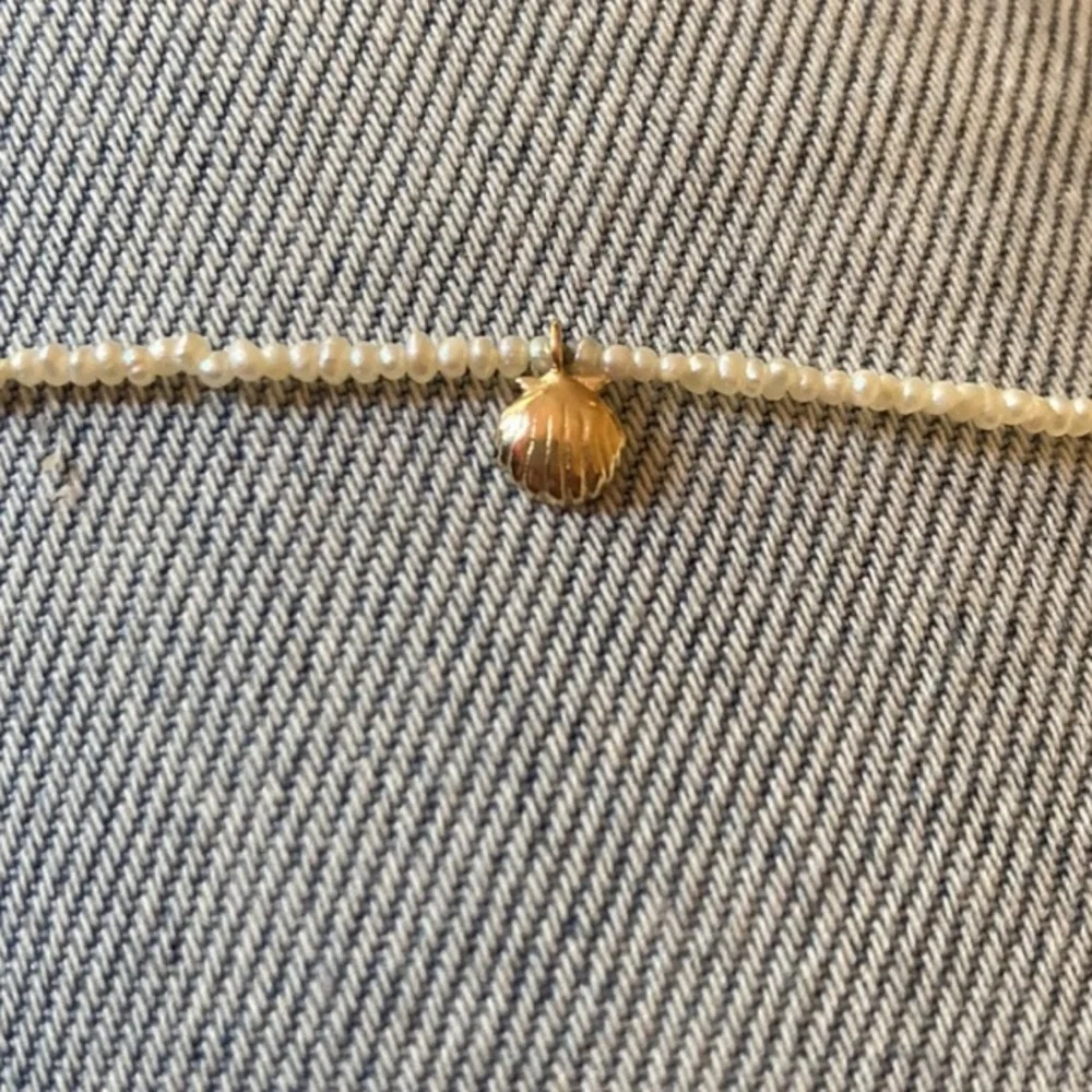 Everlasting Summer Shell Charm, please read description - Picture 2 of 6